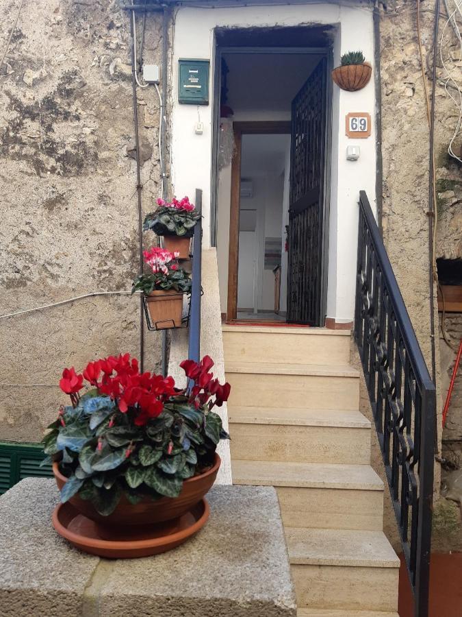 Guidonia Montecelio Διαμέρισμα Εξωτερικό φωτογραφία